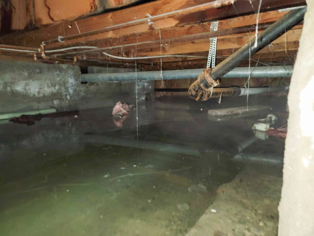 Best Fire Damage Restoration  in Decordova, TX