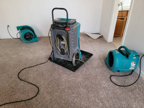 Water damage restoration experts in TX