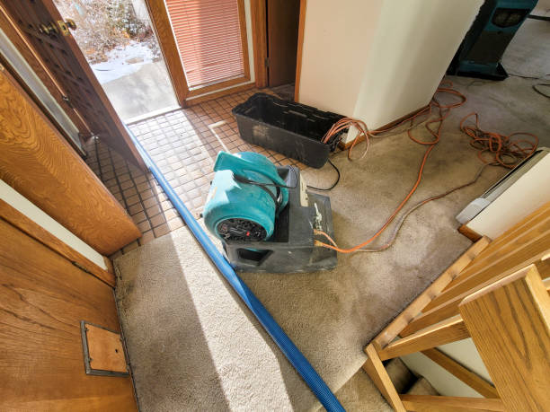 Best Sewage cleanup and water damage restoration  in Decordova, TX