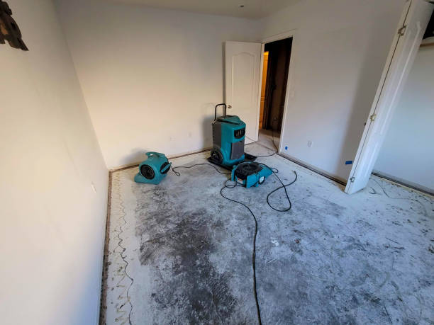 Best Water damage restoration near me  in Decordova, TX