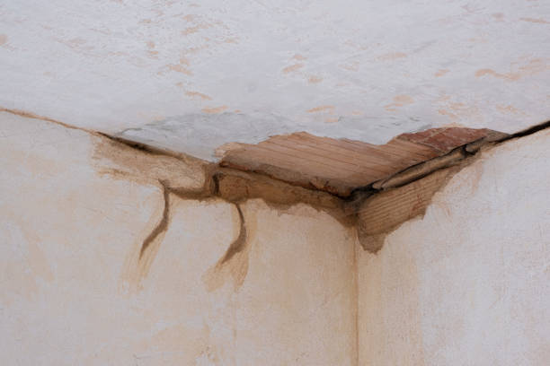 Best Emergency water extraction  in Decordova, TX