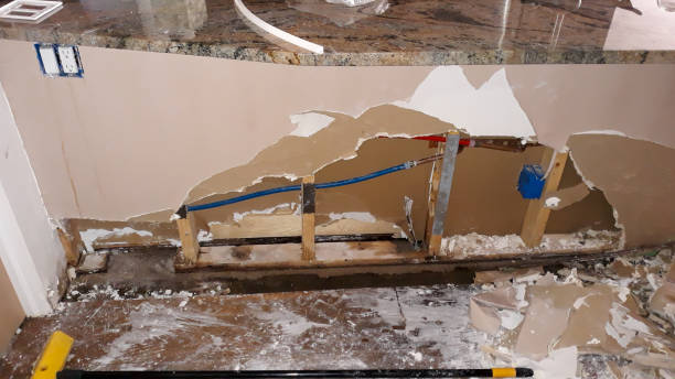 Best Flood damage cleanup  in Decordova, TX