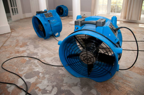 Best Mold removal after water damage  in Decordova, TX