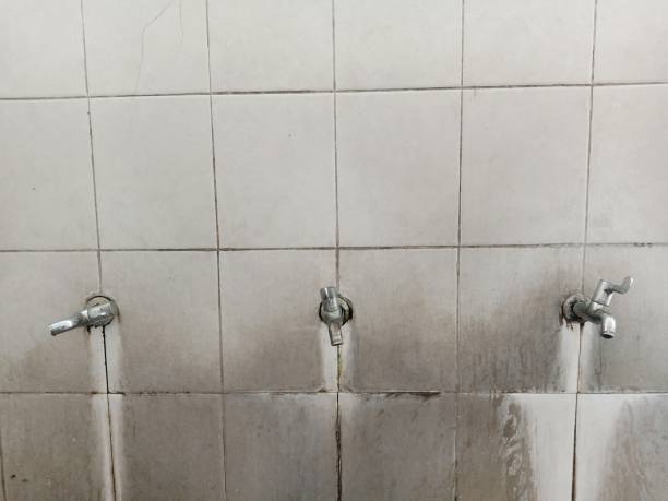 Best Local water damage restoration  in Decordova, TX