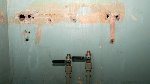 Best Flooded house restoration  in Decordova, TX