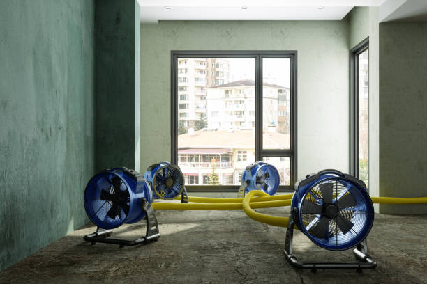 Best 24/7 water damage repair  in Decordova, TX